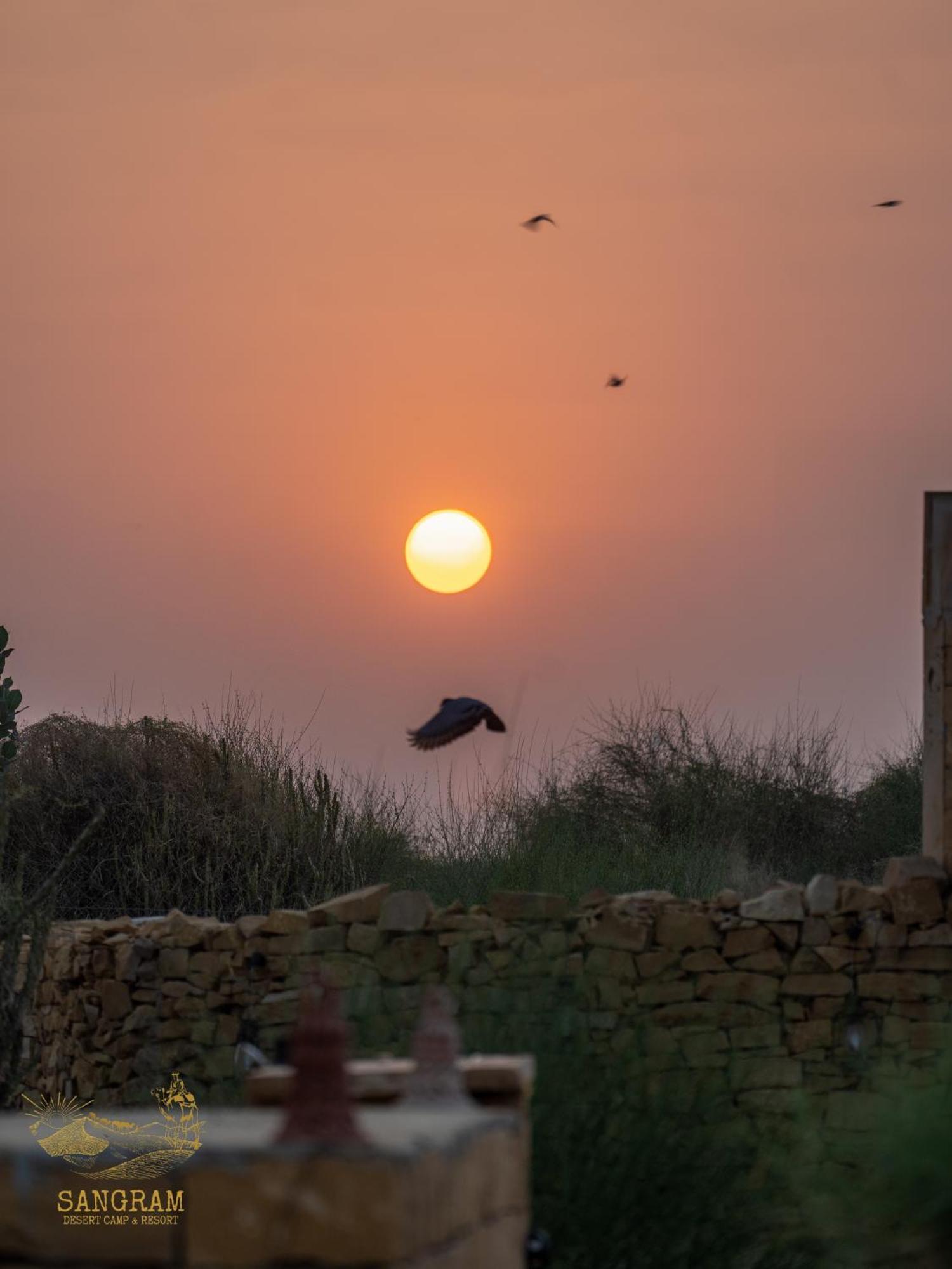 Sangram Desert Camp ไจซัลเมอร์ ภายนอก รูปภาพ